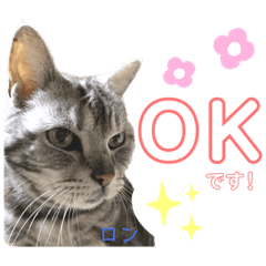 natsumi_20230223214833