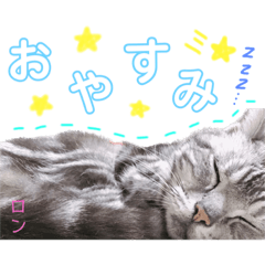 natsumi_20230223214724