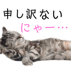 natsumi_20230223215059