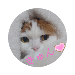 chisa_20230224000129