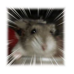 ALICE_20230224142616