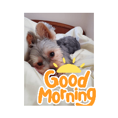 nao_20230224145145Gabu