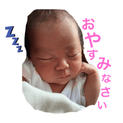 shiho_20230224152608