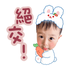 侑侑♡︎動物大集合！