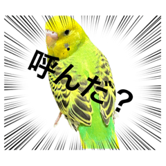 yugecchi_20230224121921