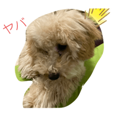 aoi_20230224153925