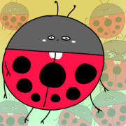 silly ladybird