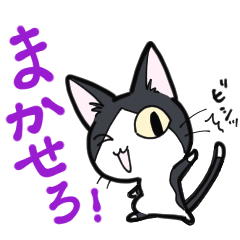 毎日が猫の日。チーム　にゃんこ