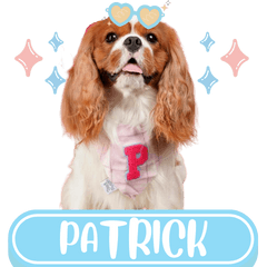 WOOFME WITH PATRICK