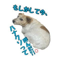 hanakuso_hanahana