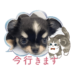 kaori_20230222123646