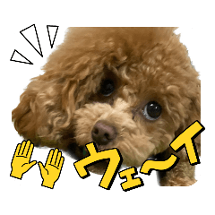 teru_20230224180054
