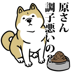 原リスペクト（プラチナ）