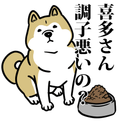 喜多リスペクト（プラチナ）