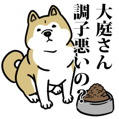 大庭リスペクト（プラチナ）