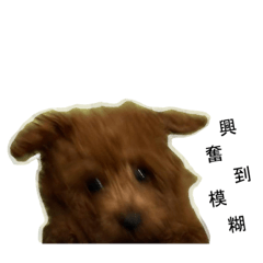 阿頌哈姆厚哩笑嗨嗨