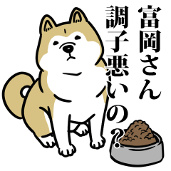 富岡リスペクト（プラチナ）