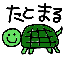 with turtle life