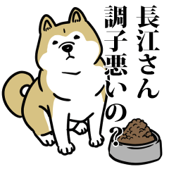 長江リスペクト（プラチナ）