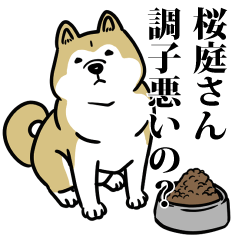 桜庭リスペクト（プラチナ）
