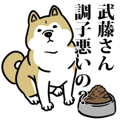 武藤リスペクト（プラチナ）