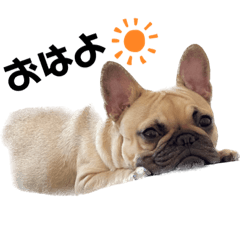 SHIHO_20230224221723