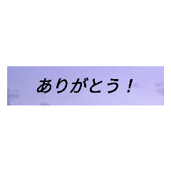 ruru_20230224174657