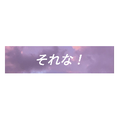 ruru_20230224225137