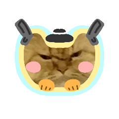 MIwmo_20230224193025