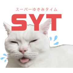 suzu_20230225112710