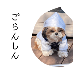 saori_20230225124149