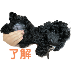 KANA_20230225131801