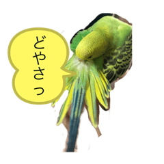 yugecchi_20230225131600