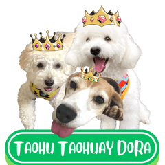 WOOFME WITH TAOHU TAOHUAY DORA