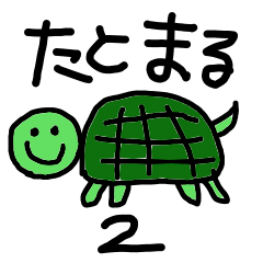 with turtle life2