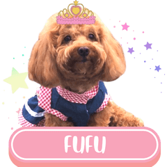 WOOFME WITH FUFU