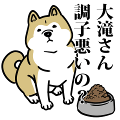 大滝リスペクト（プラチナ）