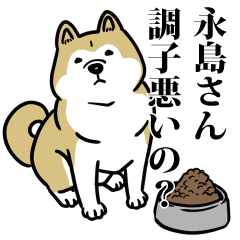 永島リスペクト（プラチナ）