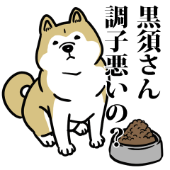 黒須リスペクト（プラチナ）