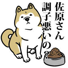 佐原リスペクト（プラチナ）