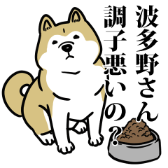 波多野リスペクト（プラチナ）