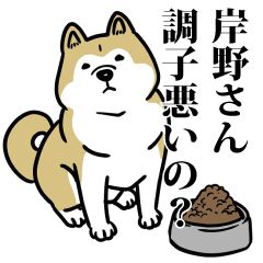岸野リスペクト（プラチナ）