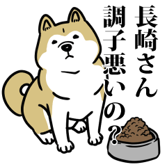 長崎リスペクト（プラチナ）