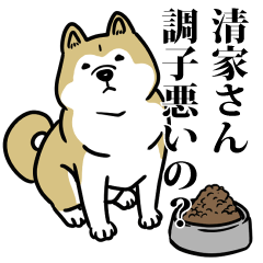 清家リスペクト（プラチナ）