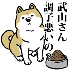 武山リスペクト（プラチナ）