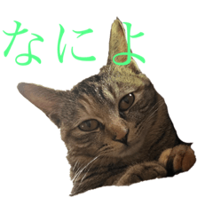 aoi_20230225164316