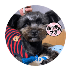 tomomi_20230225205725