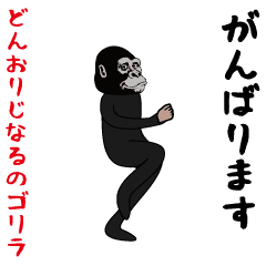 crisp real gorilla