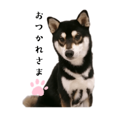Soo_20230225172923