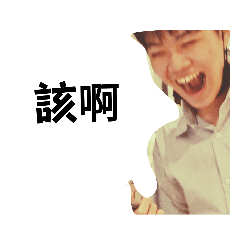 野鵝的瘋狂世界2